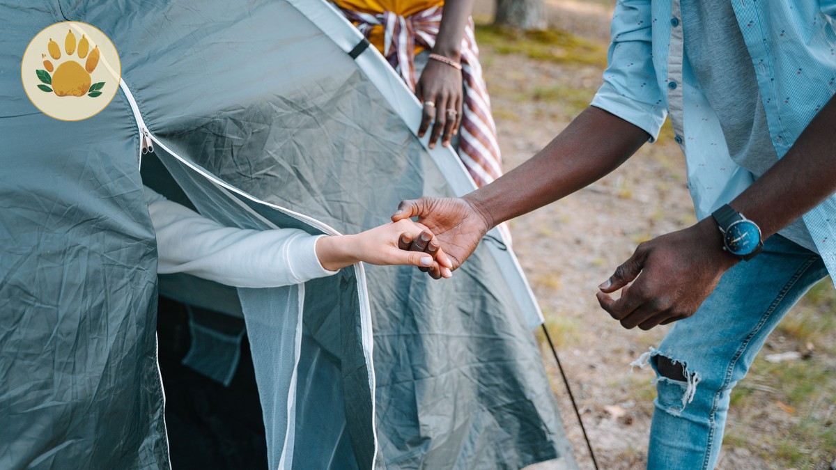 Kenya Safari Accessible Camps Guide: Plan With Ease -- Photo by Ivan S on Pexels