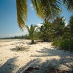 Kenya Safari Beach Extension Itinerary: 12 Days -- Photo by Denys Gromov on Pexels
