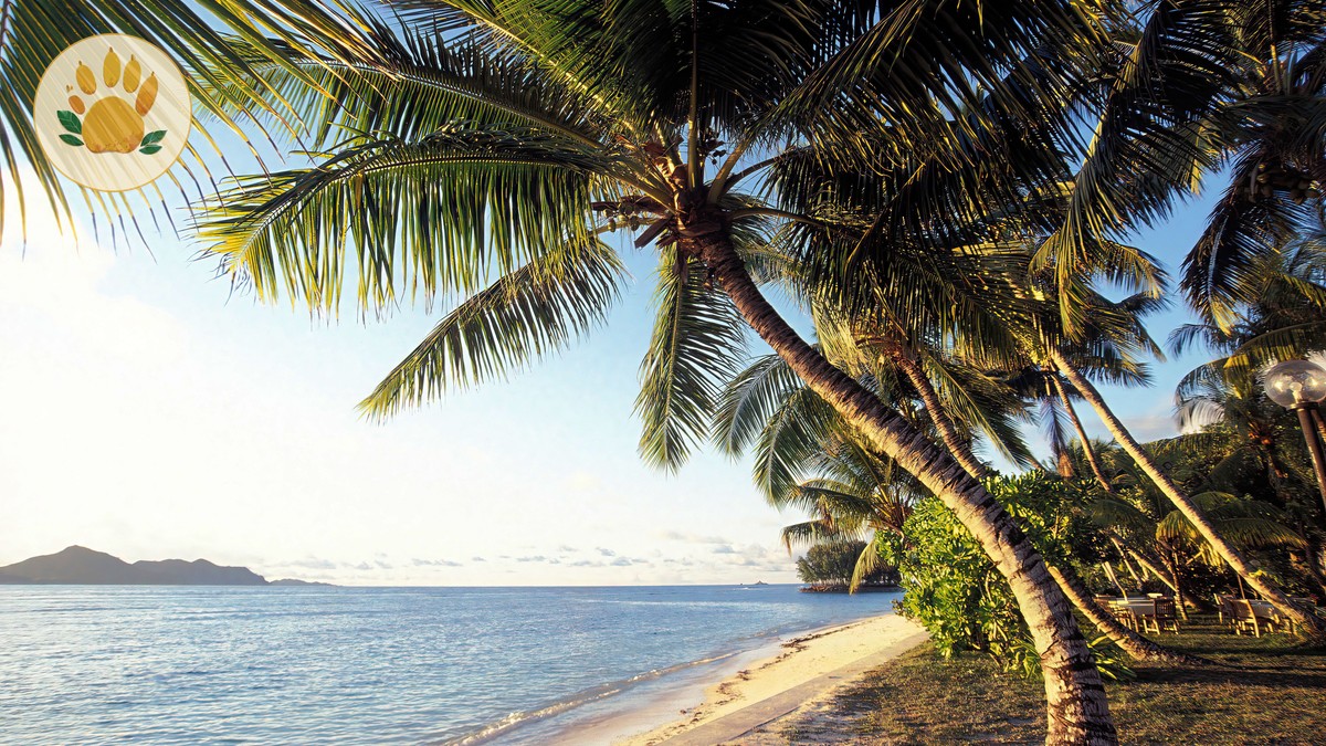 Kenya Safari Beach Extension Itinerary: 12 Days - photo 1