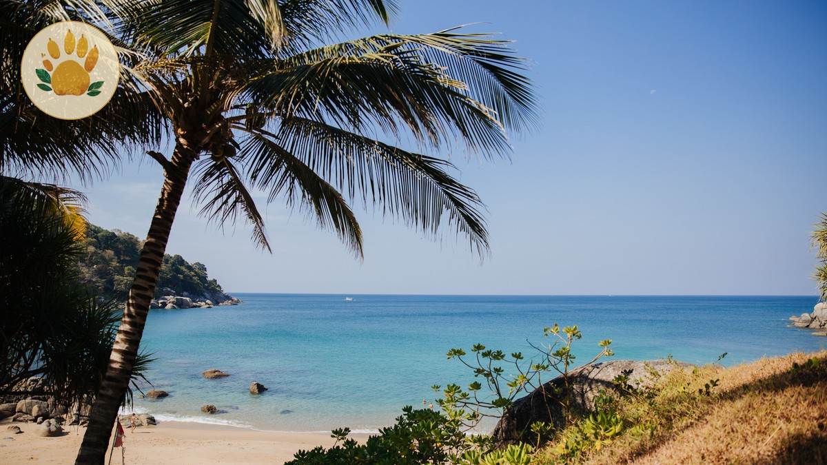 Kenya Safari Beach Extension Itinerary: 12 Days - photo 2