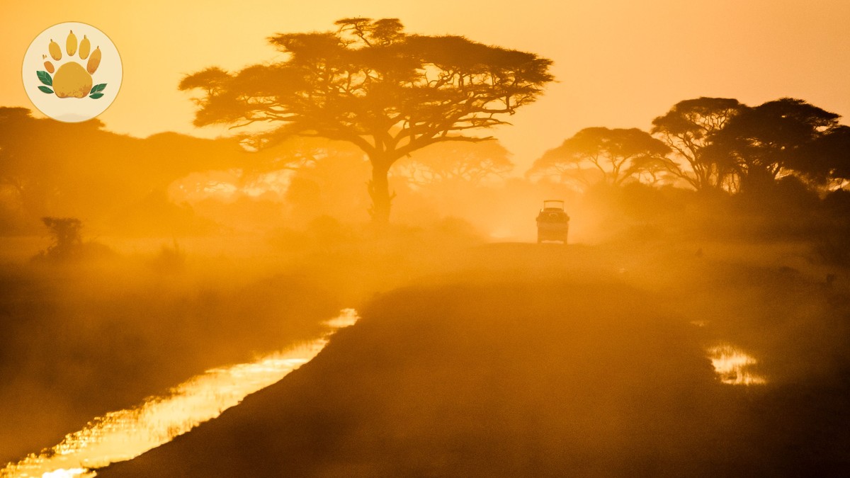 Kenya Safari Coldest Parks: 5 Chilly Getaways - photo 2