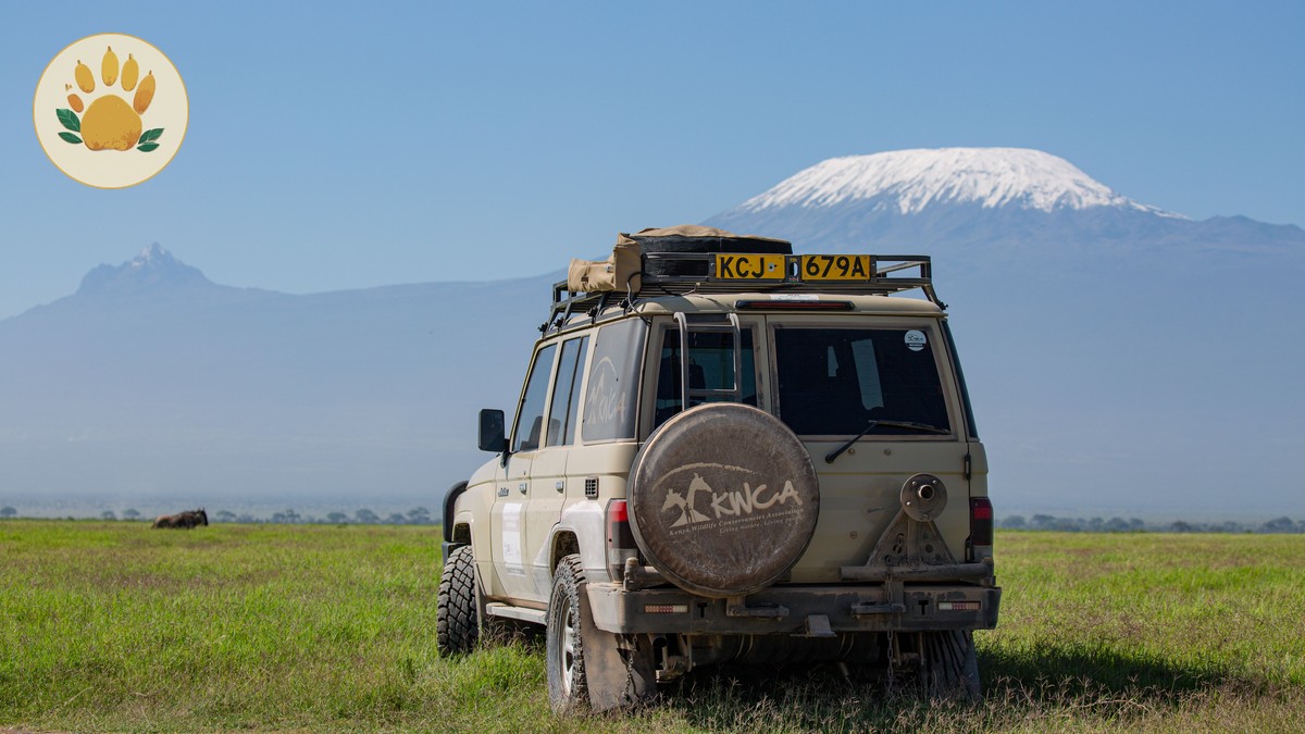 Kenya Safari Costs Guide for German Speakers (2026) - photo 2