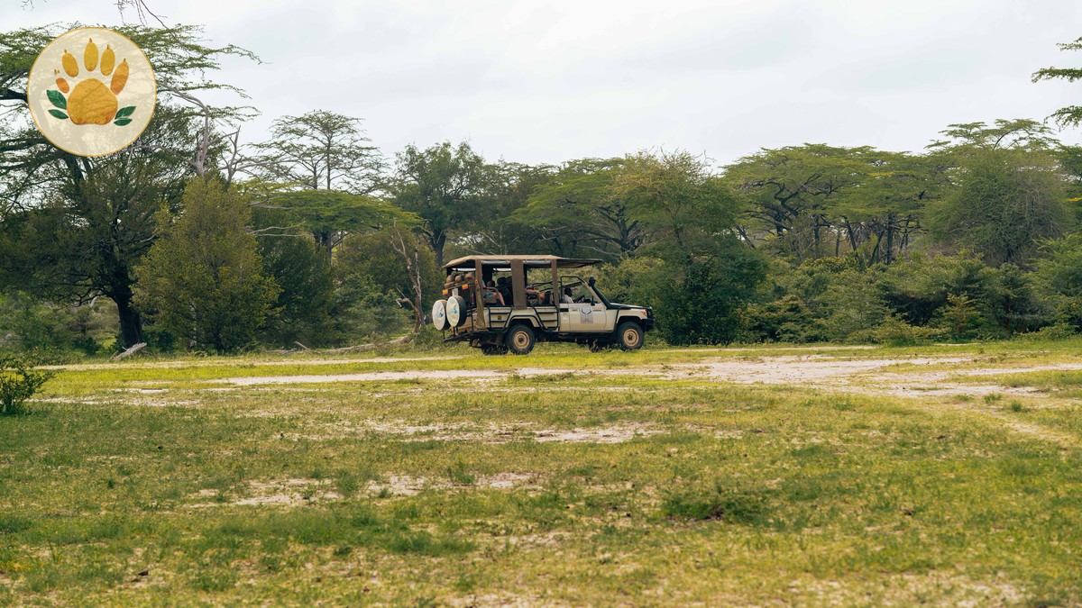 Kenya Safari Family Guide for Indonesian Speakers (2026) - photo 1