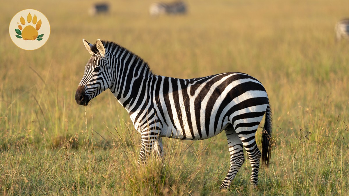 Kenya safari guides dutch speakers: 7-Day Plan - photo 2