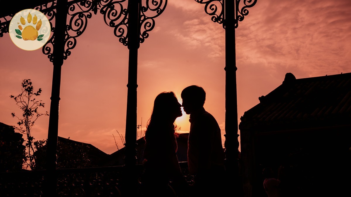 Kenya Safari Honeymoon Guide for Arabic Speakers