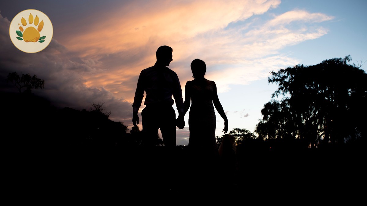 Kenya Safari Honeymoon Guide for Vietnamese Speakers