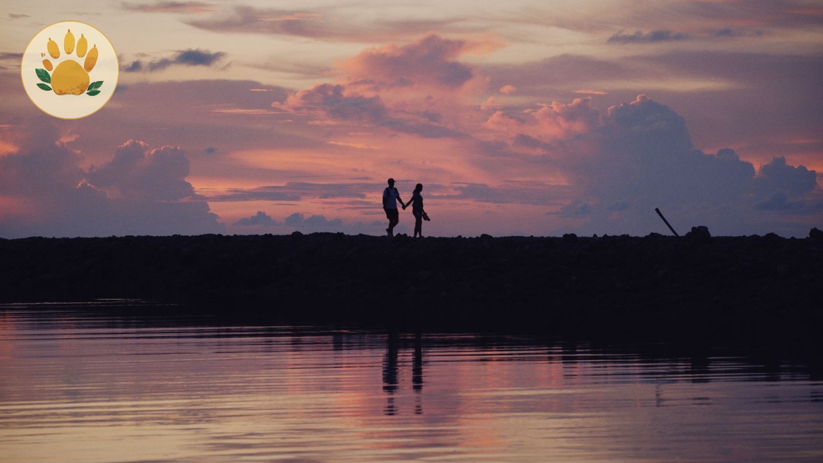 Kenya Safari Honeymoon Room Upgrade Cost: $150-$400 -- Photo by Alexey Demidov on Pexels