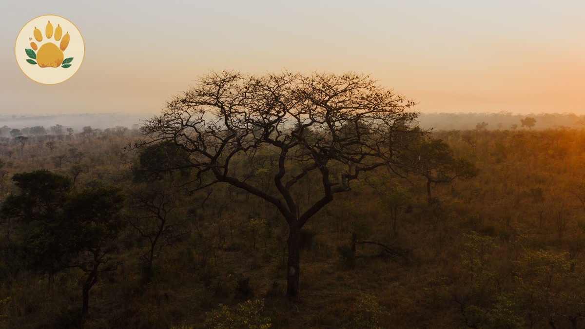 Kenya Safari Itinerary Guide for Cantonese Speakers - photo 1