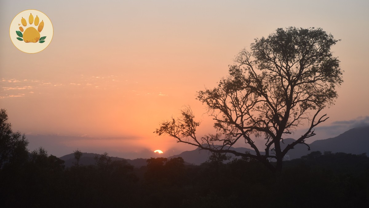 Kenya Safari Itinerary Guide for Czech Speakers (2026) - photo 1