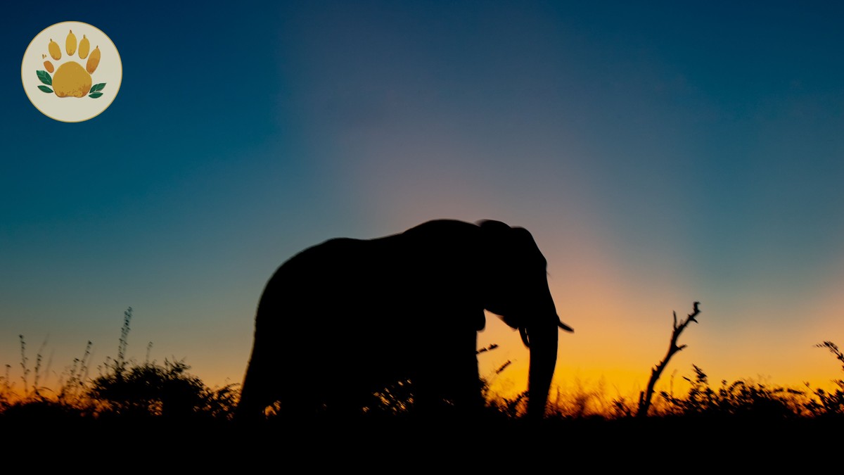 Kenya Safari Itinerary Guide French Speakers: 7, 10, 14 Days - photo 1