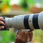 Kenya Safari Leopard Photography: 7 Camera Tips -- Photo by Sóc Năng Động on Pexels