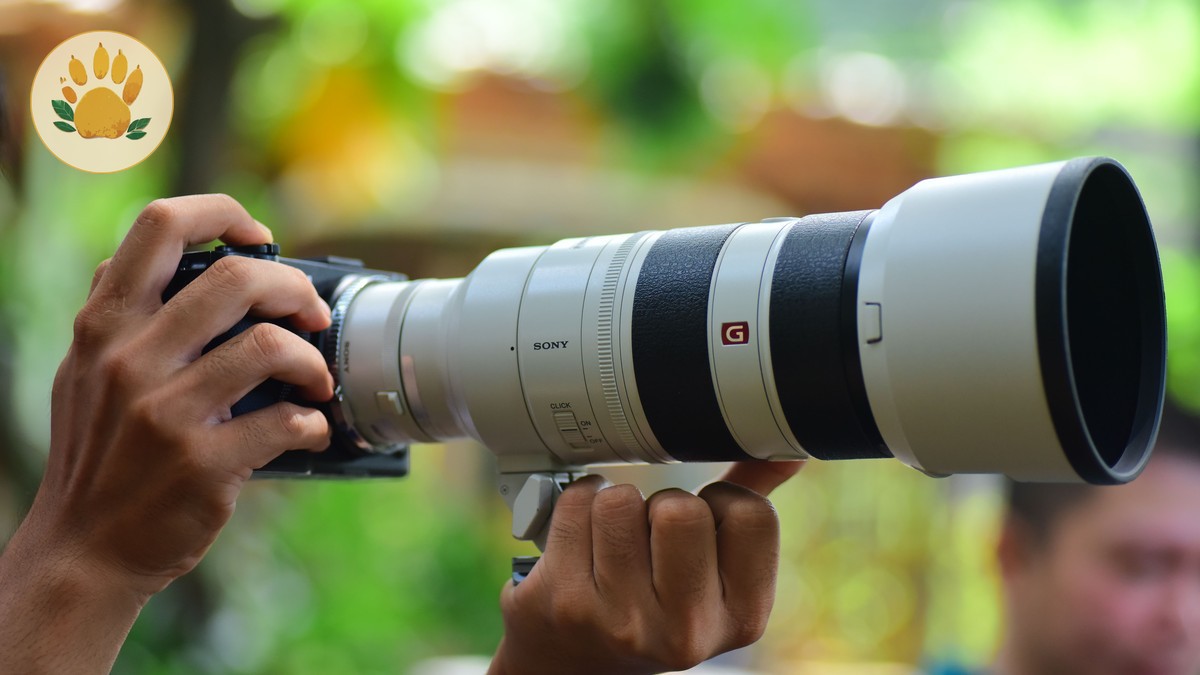 Kenya Safari Leopard Photography: 7 Camera Tips -- Photo by Sóc Năng Động on Pexels