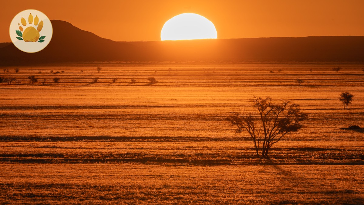 Kenya Safari Packing List for French Speakers (2026 Guide) - photo 1