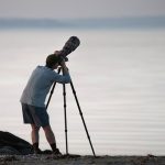 Kenya Safari Photography Hides Cost: $350-$1,200 -- Photo by Cara Denison on Pexels