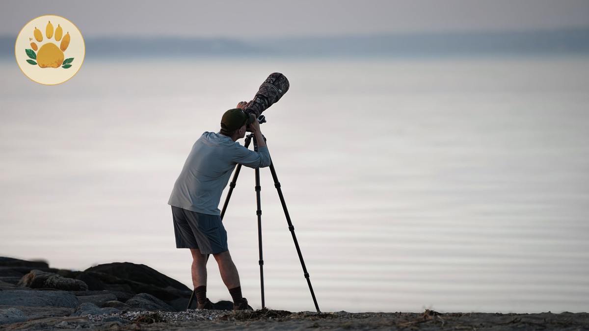 Kenya Safari Photography Hides Cost: $350-$1,200 -- Photo by Cara Denison on Pexels