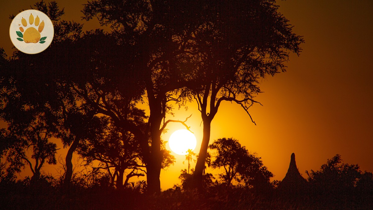 Kenya Safari Planning Guide for Portuguese Speakers - photo 1