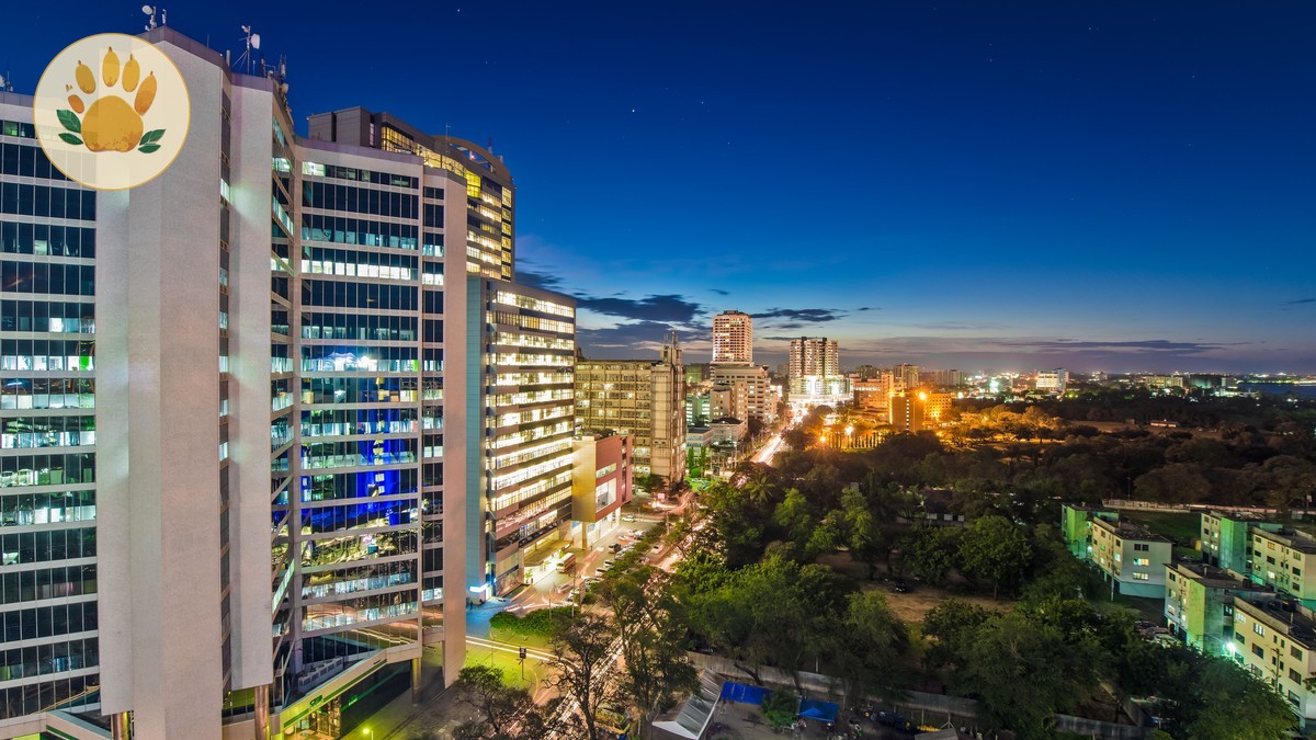 Kenya Safari Visa Guide French Speakers: eTA Cost & Steps