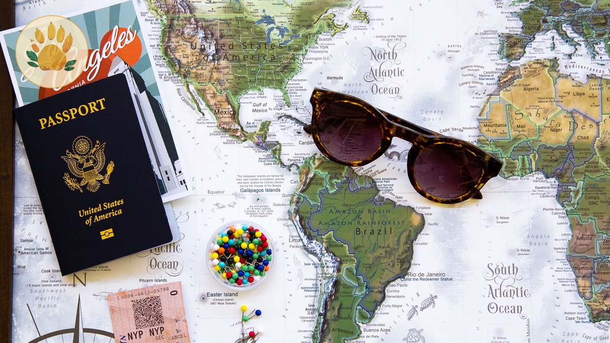 Kenya Safari Visa Guide French Speakers: eTA Cost & Steps - photo 2