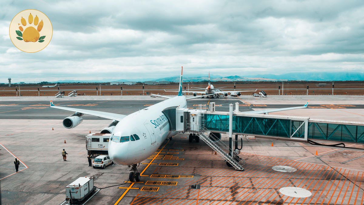 Kenya Safari Visa Guide for Spanish Speakers (eTA 2026) - photo 1