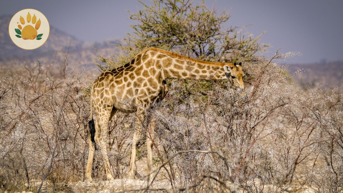Kid-Friendly Activities in Nairobi Before Your Safari - photo 1