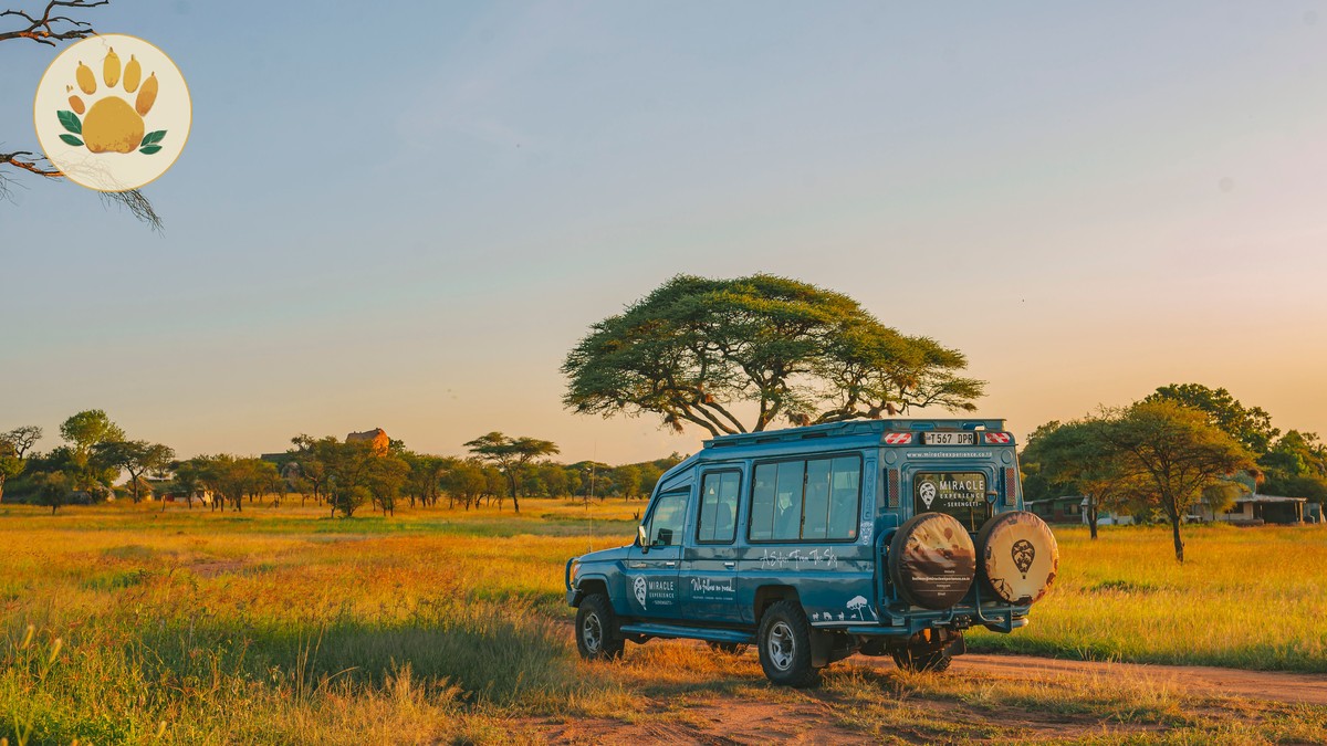 Kisumu Lake Victoria Wildlife Guide: 2026 Edition - photo 1