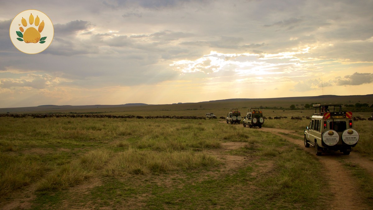 Kisumu Lake Victoria Wildlife Guide: 2026 Edition - photo 2