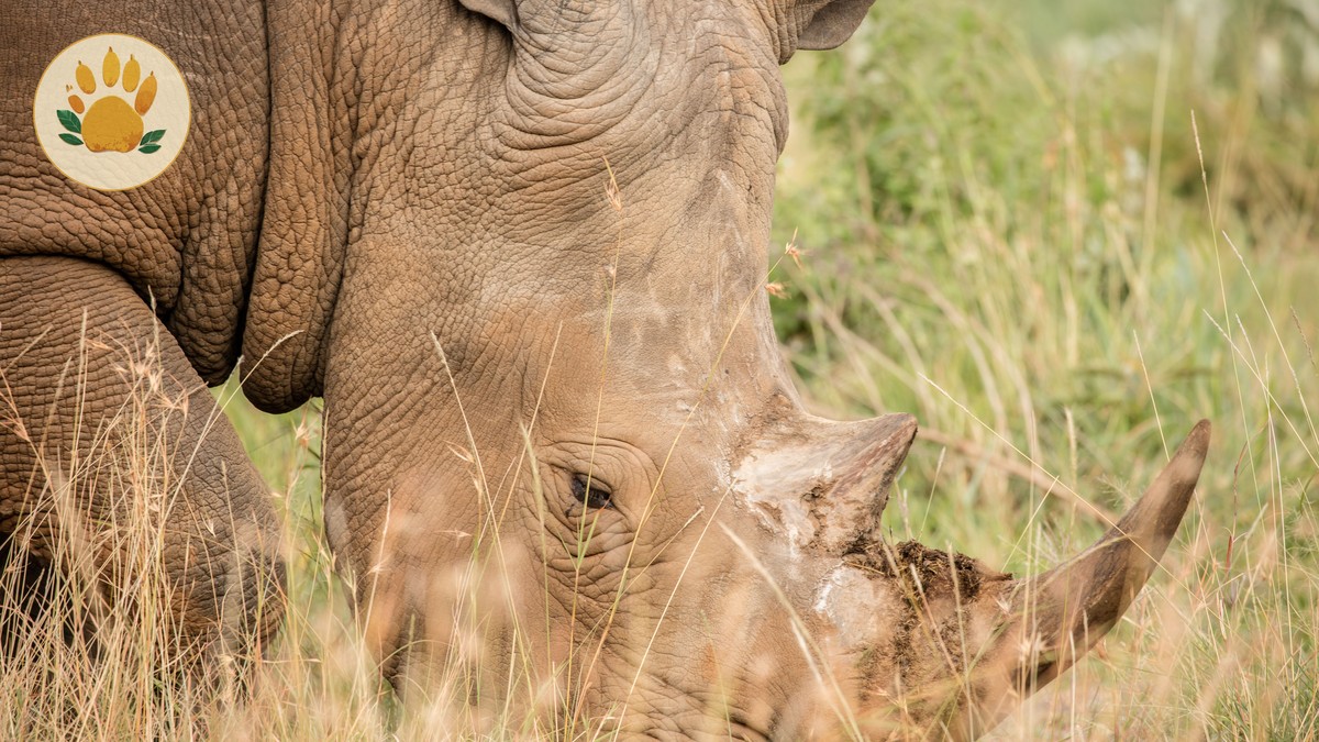 Lake Nakuru vs Lake Naivasha: Which to Visit - photo 1