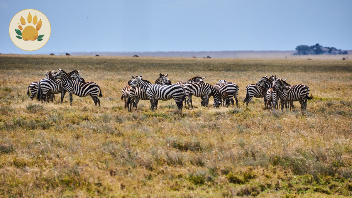 Lake Nakuru vs Lake Naivasha: Which to Visit - photo 2