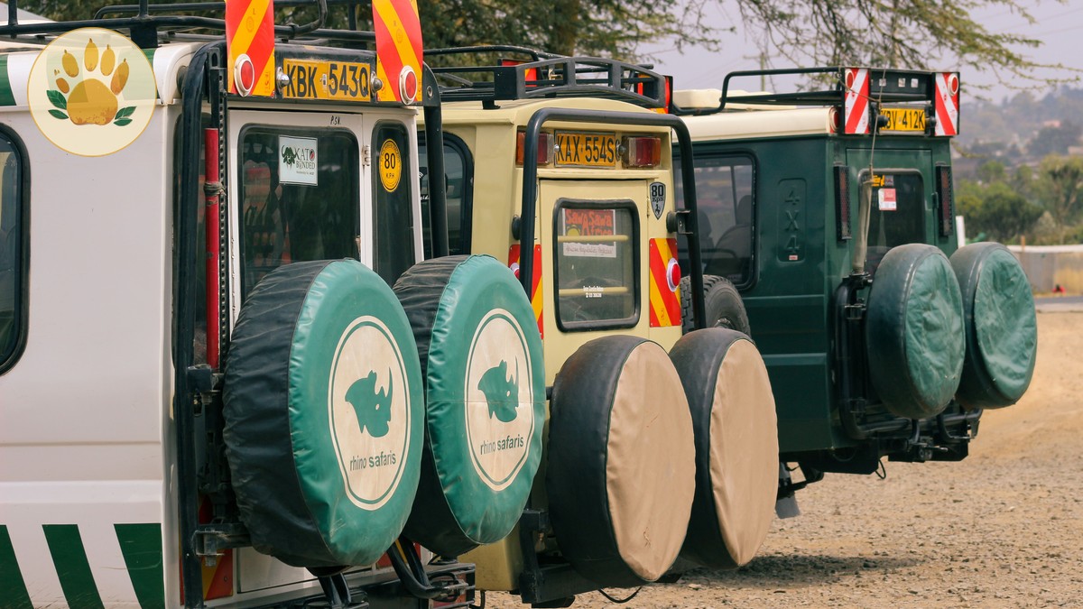 Malaria Tablets Safari Kenya Choice Guide - photo 2