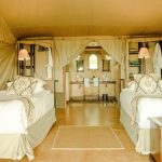 Multilingual Kenya Safari: Guides, Camps, and Communication