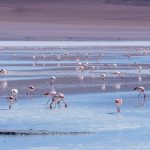 Nairobi to Lake Nakuru Driving Distance & Time