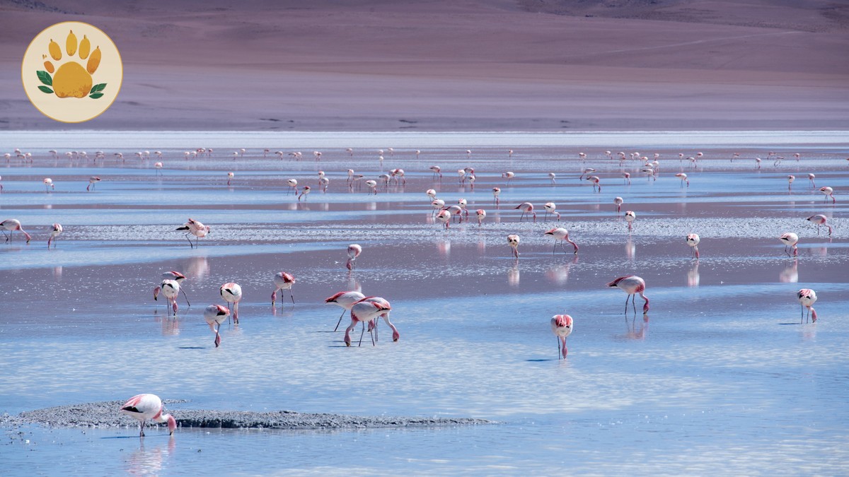 Nairobi to Lake Nakuru Driving Distance & Time