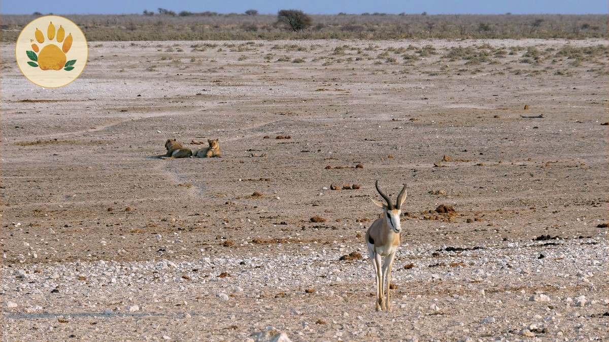 Nairobi to Nanyuki Driving Distance: Full Guide - photo 2