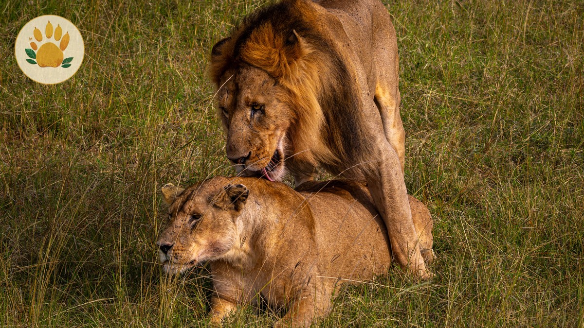 Nairobi Wildlife Triangle: A Perfect Half-Day Itinerary - photo 2