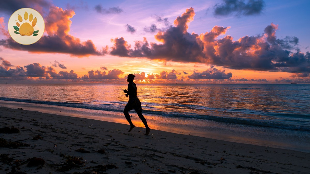 Safari Before or After Beach? Kenya Trip Order Guide