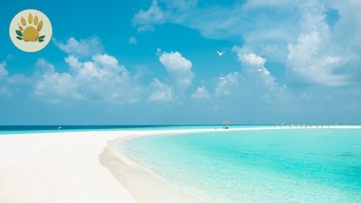 Safari Before or After Beach? Kenya Trip Order Guide - photo 2