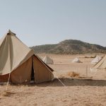 How Do Safari Camps Dispose of Waste: 5 Methods -- Photo by Dziana Hasanbekava on Pexels