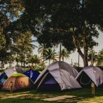 How Do Safari Camps Handle Power Banks: 5 Ways -- Photo by Jonathan Borba on Pexels