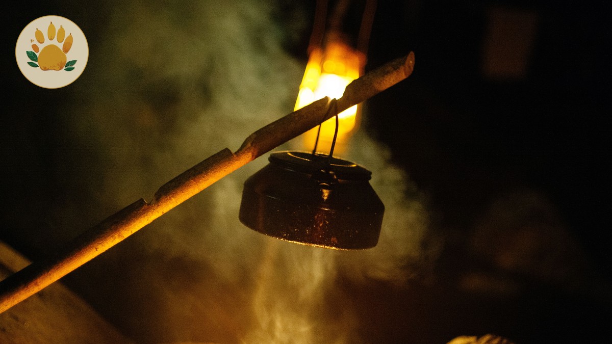 How Do Safari Camps Handle Power Banks: 5 Ways - photo 1