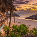 Safari Day Trip from Diani or Mombasa: Is It Worth It?