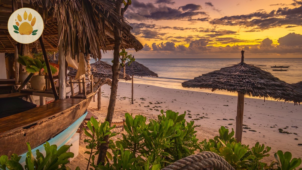 Safari Day Trip from Diani or Mombasa: Is It Worth It?
