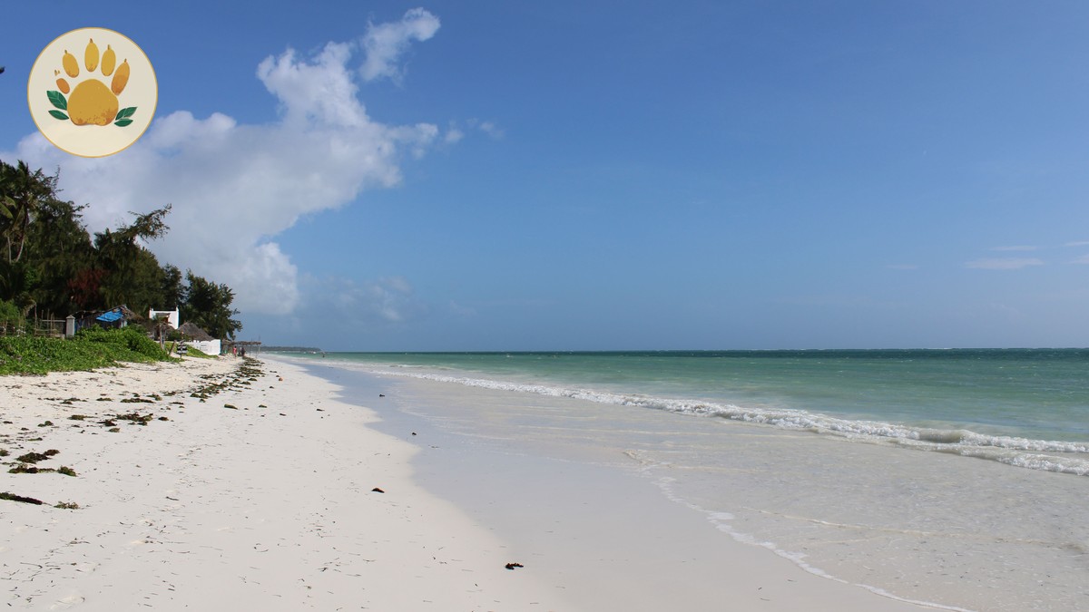 Safari Day Trip from Diani or Mombasa: Is It Worth It? - photo 1