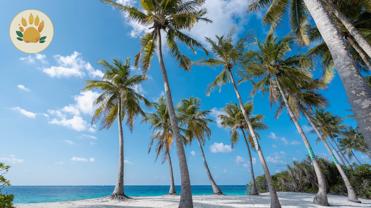 Safari Day Trip from Diani or Mombasa: Is It Worth It? - photo 2
