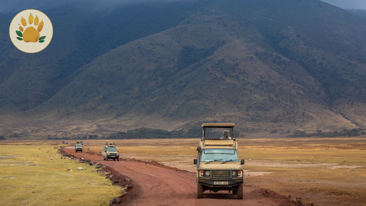 Safari First Aid Kit Checklist for Kenya Trips - photo 2