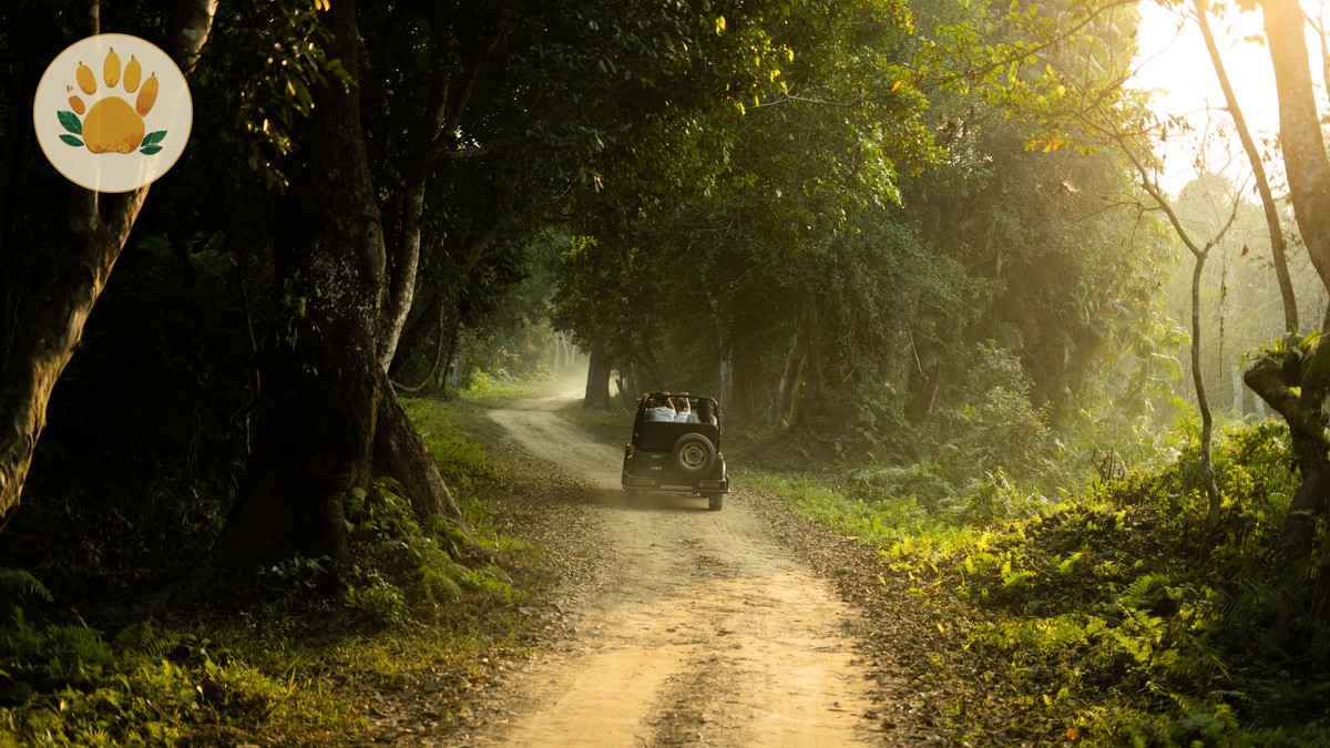 Safari Terms Glossary for Beginners in Kenya - photo 1