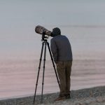 Samburu Wildlife Photography Guide: Best Photo Spots -- Photo by David Kanigan on Pexels