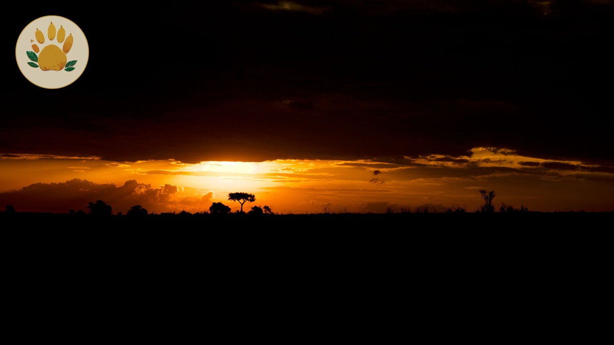 Small Group Joining Safari Kenya: Benefits and Trade-Offs - photo 1