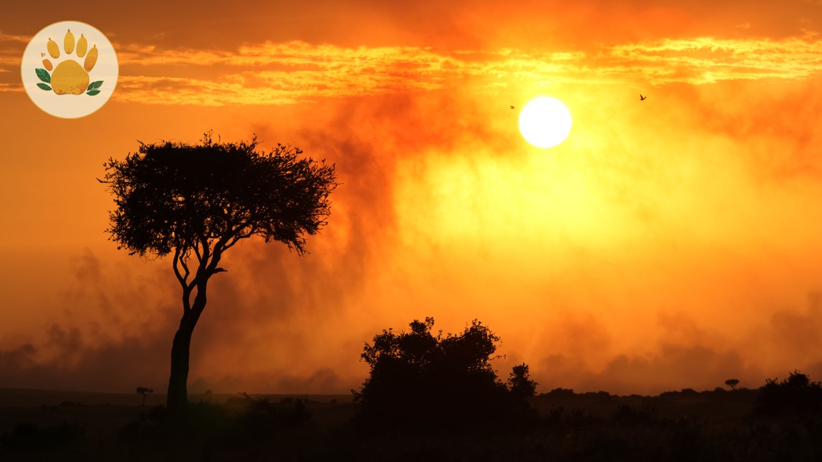 Which Nationalities Book the Most Kenya Safaris? A Look at Travelers - photo 1