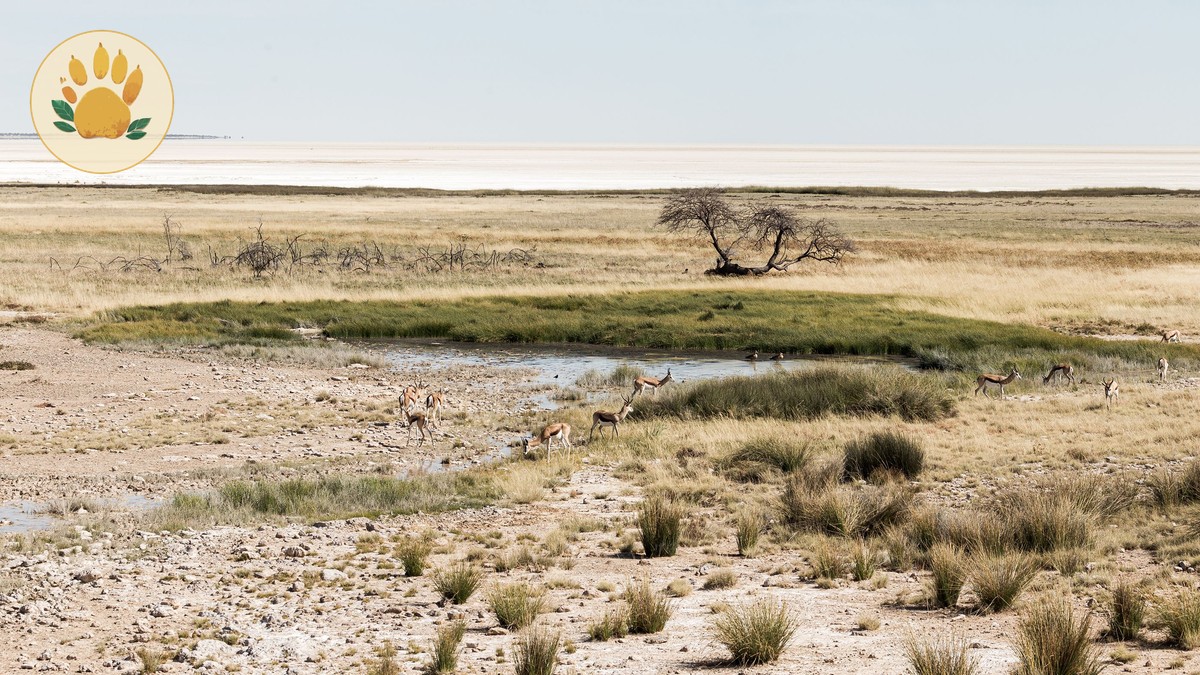 Wildebeest Migration Current Location Tracker (Aug 2026) - photo 2
