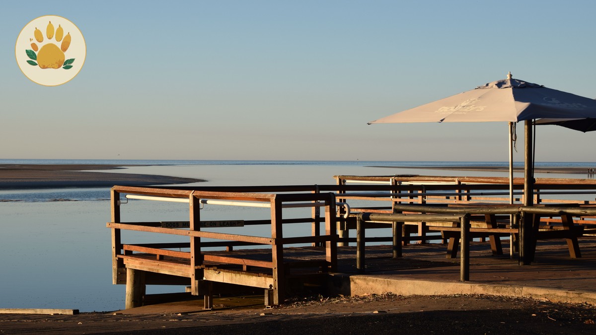 Can Safari Lodges Refrigerate Medicine: 5 Booking Checks - photo 2